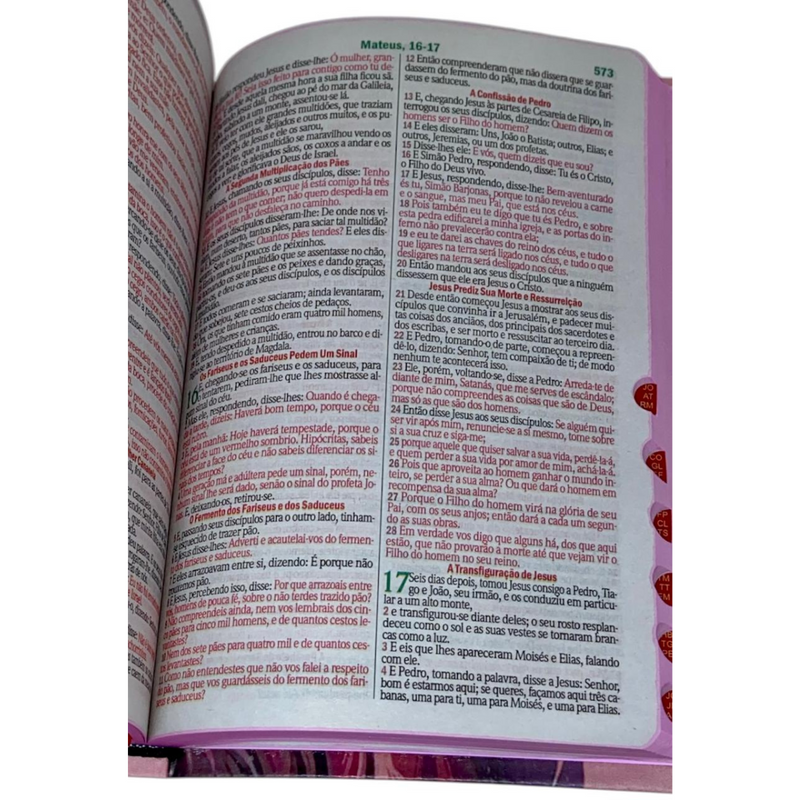 Bíblia Capa Flexível Letra Gigante - Leão Jesus Rosa - Com Índice Miolo Ppm Full Color Versão Arc  Com Harpa E Fitilho