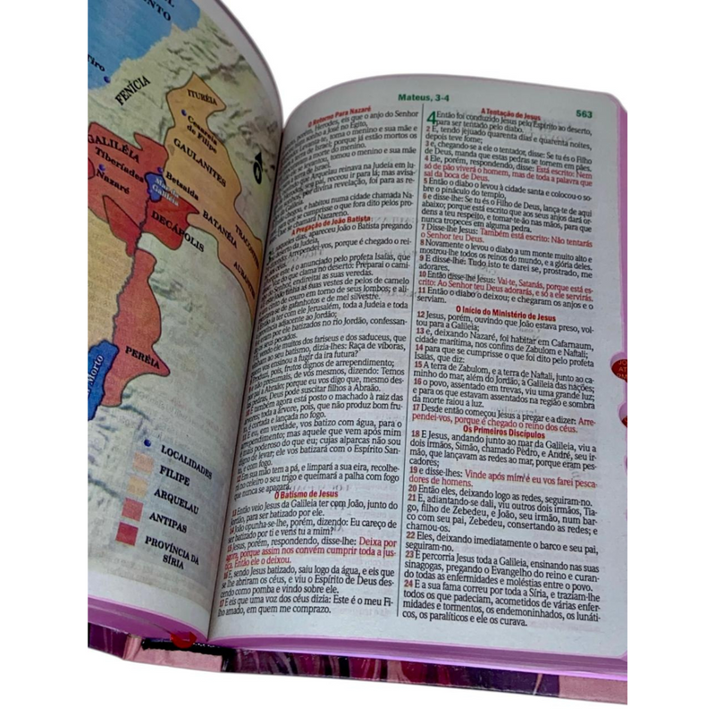 Bíblia Capa Flexível Letra Gigante - Leão Jesus Rosa - Com Índice Miolo Ppm Full Color Versão Arc  Com Harpa E Fitilho