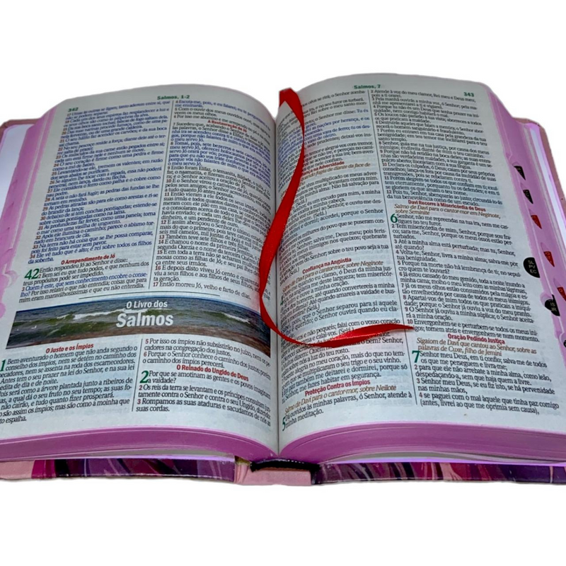 Bíblia Capa Flexível Letra Gigante - Leão Jesus Rosa - Com Índice Miolo Ppm Full Color Versão Arc  Com Harpa E Fitilho