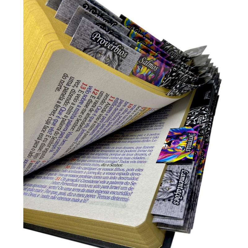 Bíblia Preta Letra Jumbo Capa Dura Arc Com Capa Protetora Harpa E Índice Abas Adesivas Masc