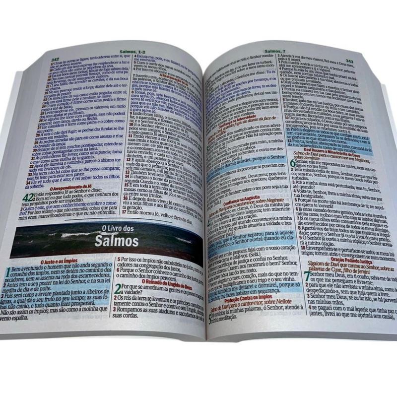 Bíblia Leão Rugindo Letra Gigante Capa Brochura Com Harpa Masculina Arc