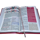 Bíblia Da Mulher Sábia Magnólia Pink De Estudo Letra Hipergigante Capa Flexível Com Harpa Feminina Arc