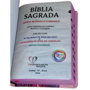 Bíblia Capa Flexível Letra Gigante - Leão Jesus Rosa - Com Índice Miolo Ppm Full Color Versão Arc  Com Harpa E Fitilho