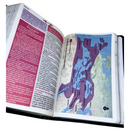 Bíblia Da Mulher Sábia Magnólia Preta De Estudo Letra Hipergigante Capa Flexível Com Harpa Feminina Arc