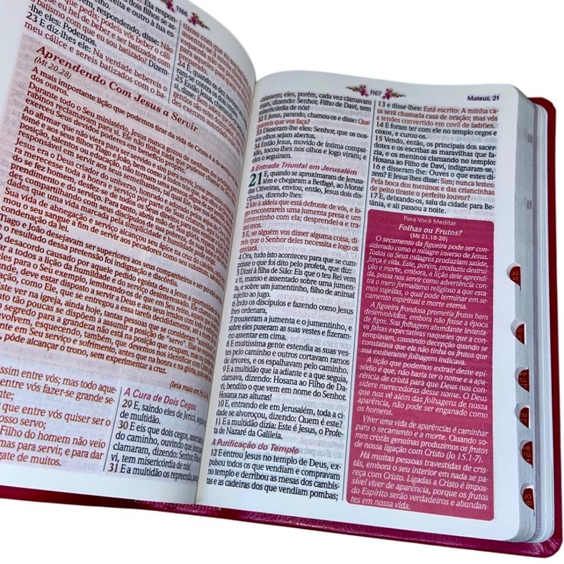 Bíblia Da Mulher Sábia Magnólia Pink De Estudo Letra Hipergigante Capa Flexível Com Harpa e Índice Feminina Arc