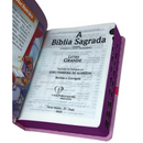 Bíblia Pequenos Discípulos Rosa Infantil Letra Comum Capa Dura Com Harpa e Índice Feminina Arc