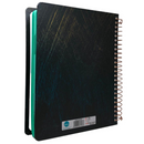 Bíblia Leão Dourado Letra Normal Capa Dura Com Espiral e Espaço Anotações Masculina Nvi