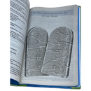 Bíblia Do Homem Sábio Com Estudo Capa Dura Verde e Azul Com índice e Harpa Masculina Arc