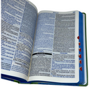 Bíblia Do Homem Sábio Com Estudo Capa Dura Verde e Azul Com índice e Harpa Masculina Arc