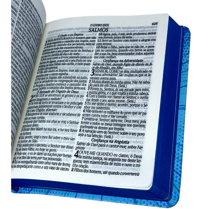 Bíblia Pequenos Discípulos Azul Infantil Letra Comum Capa Dura Com Harpa Masculina Arc