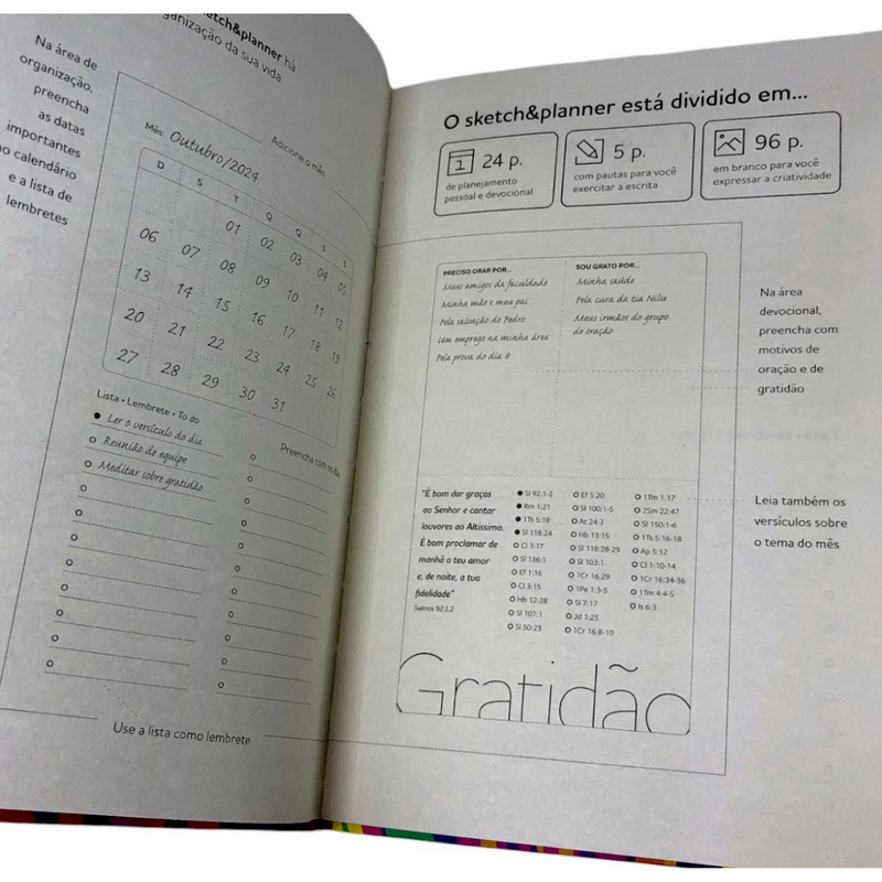 Livro Lion Colors Capa Flexível Sketch Planner