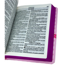 Bíblia Pequenos Discípulos Rosa Infantil Letra Comum Capa Dura Com Harpa Feminina Arc