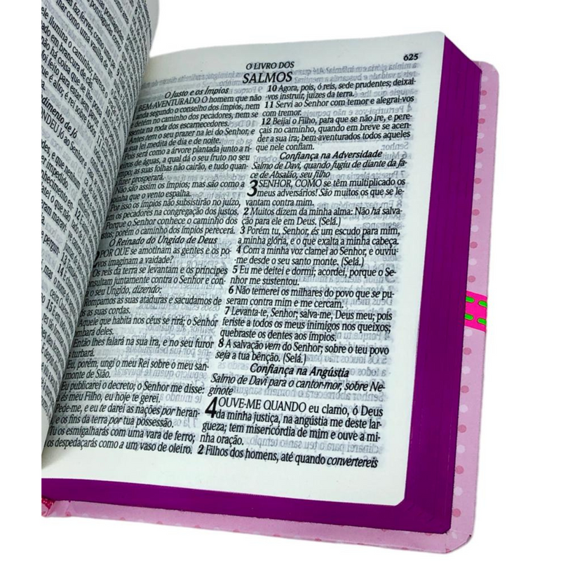 Bíblia Pequenos Discípulos Rosa Infantil Letra Comum Capa Dura Com Harpa Feminina Arc