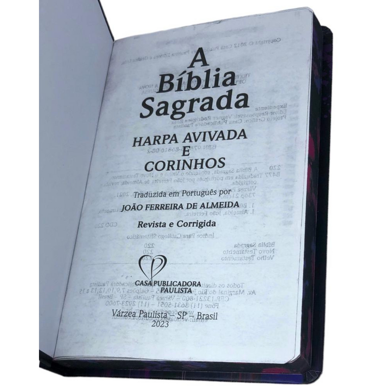 Bíblia Leão Novo Leão Aquarela Letra Normal Capa Dura Slim Com Harpa Masculina e Feminina Arc