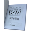 Livro Devocional Tesouros de Davi Leão de Judá Capa Brochura