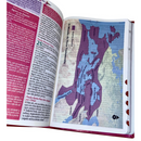 Bíblia Da Mulher Sábia Magnólia Pink De Estudo Letra Hipergigante Capa Flexível Com Harpa e Índice Feminina Arc