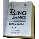 Bíblia Cor Bordô Letra Jumbo Capa Coverbook Flexível Feminina e Masculina King James 1611