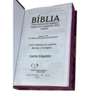 Bíblia Ornamentos Vinho Letra Gigante Capa Dura Com Harpa e Índice Masculina e Feminina Arc