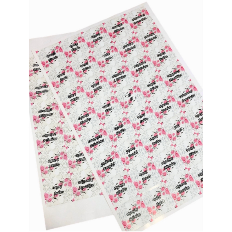 Bíblia Flor Rosa Letra Hipergigante Capa Dura Com Harpa e Aba Feminina Arc