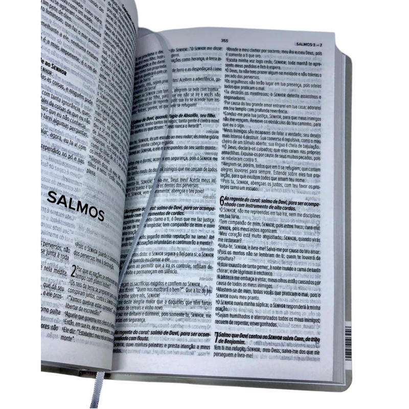 Bíblia Leão Alfa e Ômega Letra Normal Capa Semi Flexível Masculina Nvt
