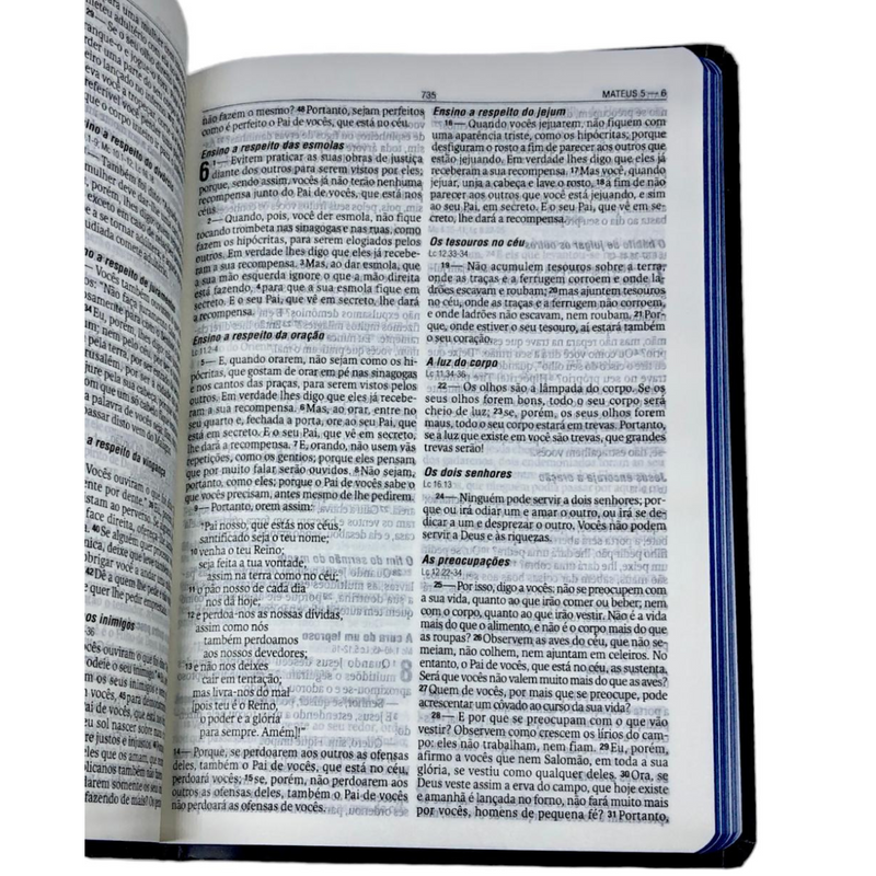 Bíblia Coroa Neon Letra Normal Capa Dura Masculina e Feminina Naa