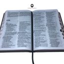 Bíblia Leão Crinza e Laranja Letra Normal Capa Dura Masculina Com Índice Naa