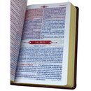 Bíblia Mover de Deus Cor Bordô Com Estudo Letra Gigante Capa Flexível Com Harpa Masculina Arc