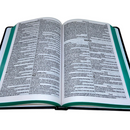 Bíblia Leão Dourado Letra Normal Capa Dura Slim Masculina Kja