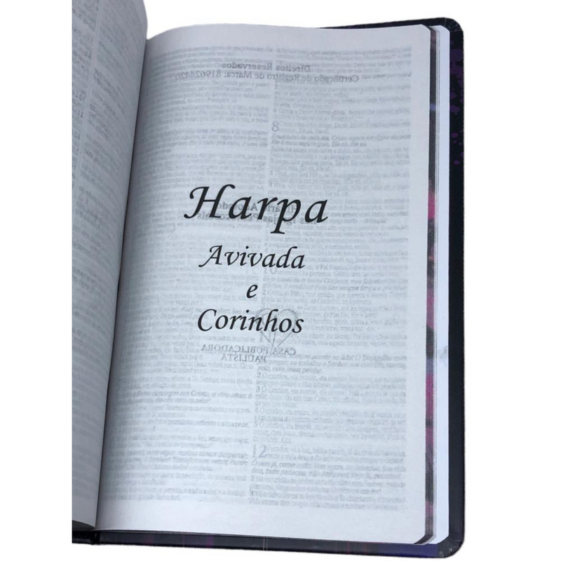 Bíblia Leão Novo Leão Aquarela Letra Normal Capa Dura Slim Com Harpa Masculina e Feminina Arc
