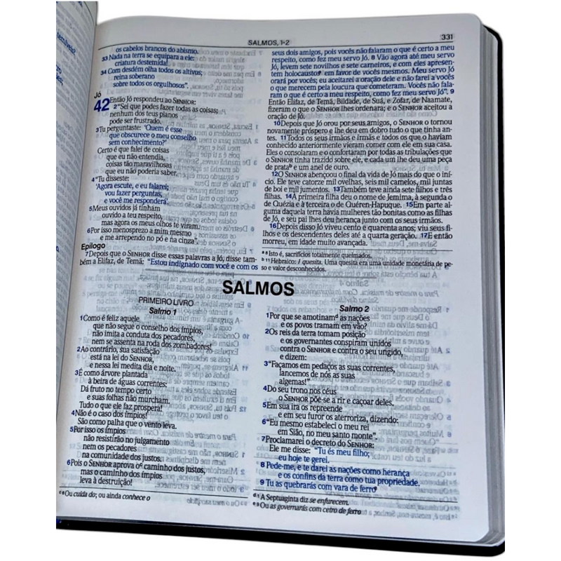 Bíblia Azul e Preta Letra Normal Capa Flexível Slim Large Masculina Nvi
