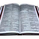 Bíblia Coração de Pedra Letra Normal Capa Dura Slim Masculina Kja