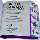 Bíblia Arranjo Floral Roxa Letra Jumbo Capa Dura Com Harpa e Aba Feminina Arc