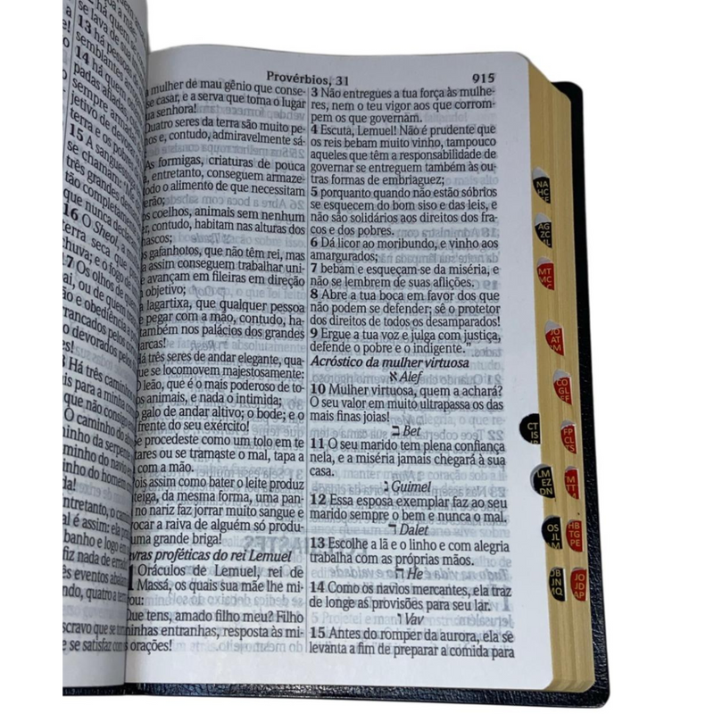 Bíblia Cor Preta Letra Jumbo Capa Coverbook Flexível Com Índice Feminina e Masculina King James 1611