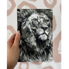Bíblia Lion P&B Letra Normal Capa Dura Masculina e Feminina Ntlh