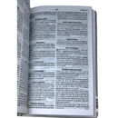 Bíblia Leão Alfa e Ômega Letra Normal Capa Semi Flexível Masculina Nvt