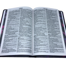 Bíblia Leão Novo Leão Aquarela Letra Normal Capa Dura Slim Com Harpa Masculina e Feminina Arc