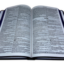 Bíblia Salmos 119 Letra Normal Capa Dura Slim Masculina e Feminina Kja