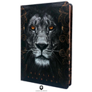 Bíblia Leão Crinza e Laranja Letra Normal Capa Dura Masculina Com Índice Naa