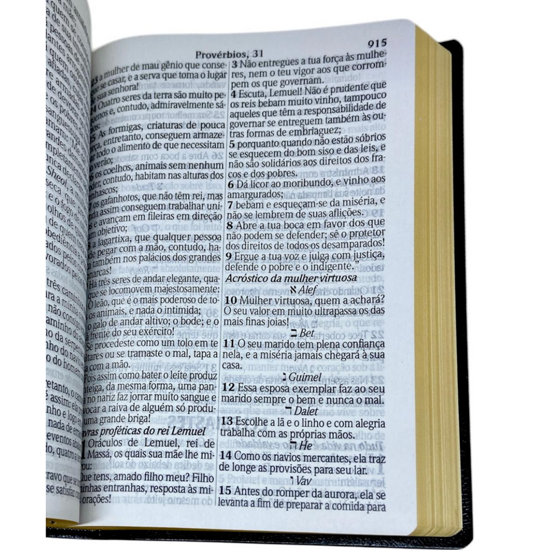 Bíblia Cor Preta Letra Jumbo Capa Coverbook Flexível Feminina e Masculina King James 1611