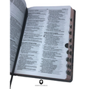 Bíblia Leão Crinza e Laranja Letra Normal Capa Dura Masculina Com Índice Naa