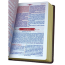 Bíblia Mover de Deus Cor Marrom Com Estudo Letra Gigante Capa Flexível Com Harpa Masculina Arc