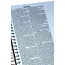 Bíblia Leão Dourado Letra Normal Capa Dura Com Espiral e Espaço Anotações Masculina Nvi