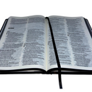 Bíblia Leão Crinza e Laranja Letra Normal Capa Dura Masculina Naa