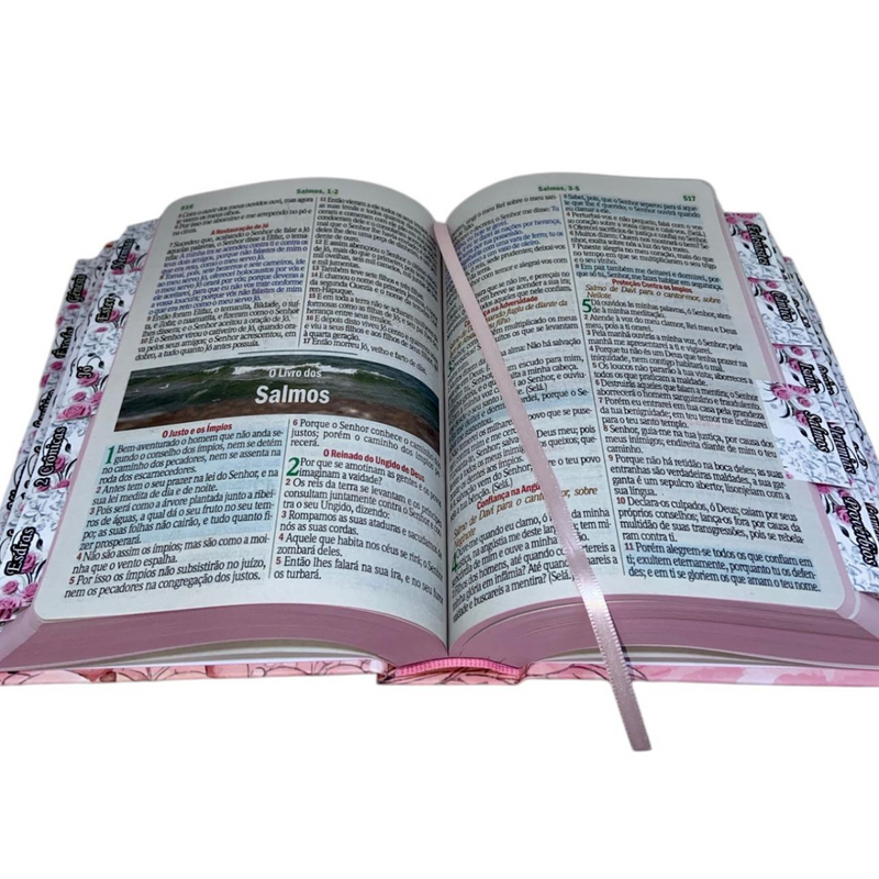 Bíblia Jardim Rosa Letra Hipergigante Capa Dura Com Harpa e Aba Já Coladas Arc