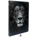 Bíblia Leão Crinza e Laranja Letra Normal Capa Dura Masculina Com Índice Naa