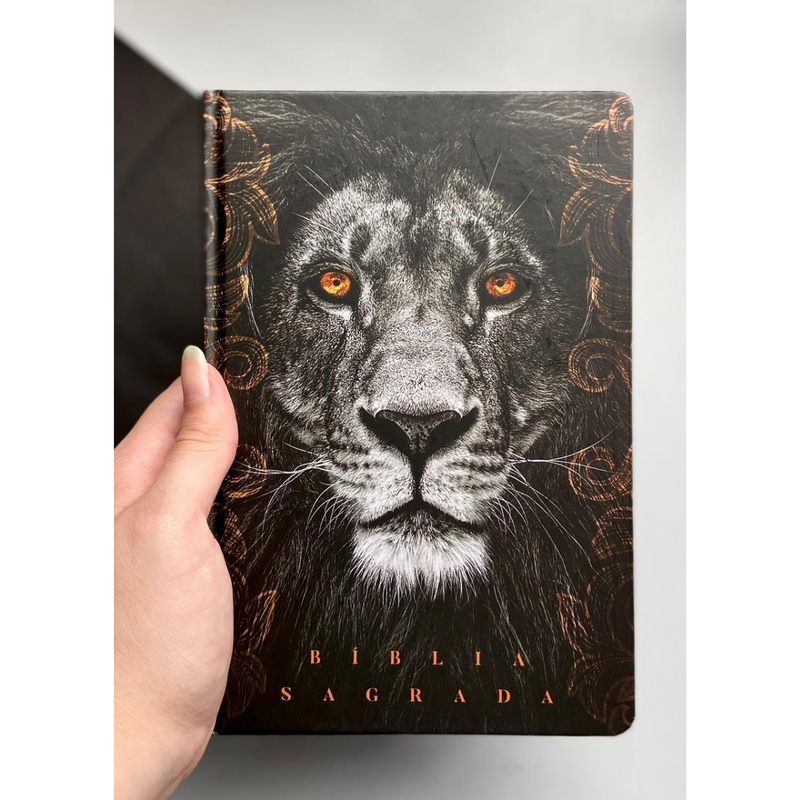 Bíblia Leão Crinza e Laranja Letra Normal Capa Dura Masculina Naa
