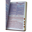 Bíblia Mover de Deus Cor Bordô Com Estudo Letra Gigante Capa Flexível Com Harpa e Índice Masculina Arc