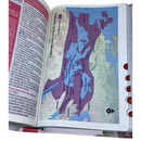 Bíblia Da Mulher Sábia Rosa De Estudo Letra Hipergigante Capa Flexível Com Harpa e Índice Feminina Arc