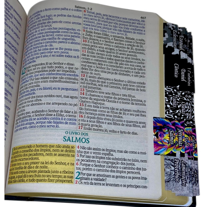 Bíblia Cor Preta Trigo Letra Jumbo Capa Dura Com Harpa e Aba Adesiva Masculina
