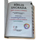 Bíblia Ele Vive Letra Gigante Capa Flexível Com Harpa e Índice Feminina Arc